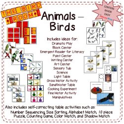Preschool Curriculum Animals Birds