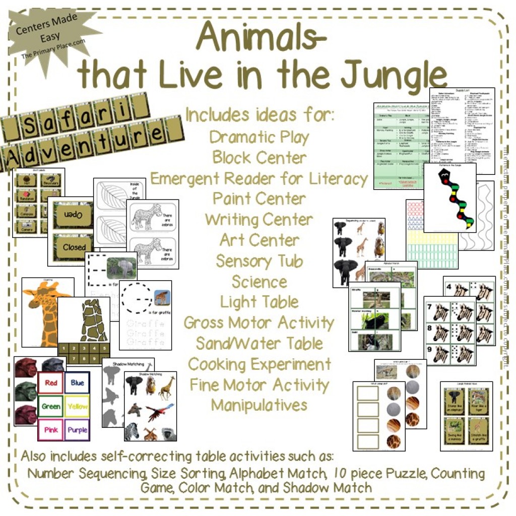 Preschool Curriculum Jungle Animals - The Primary Place